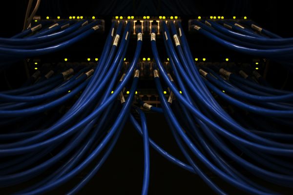 network switch and cables